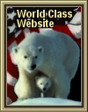 Alaska Adventures World Class Website Award