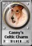 Casey's Celtic Charm Award: Sliver