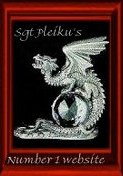 Sgt Pleiku's Number 1 Website Award 
(5 April 2005)